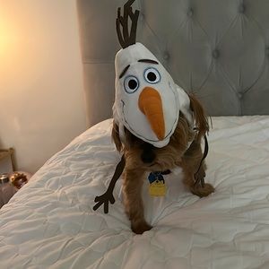 Disney’s Olaf pet costume